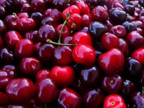 plantes medicinales corses, la cerise