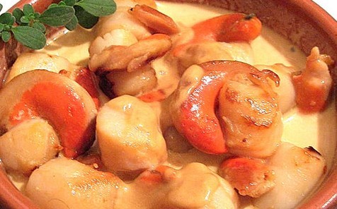 recettes corses, coquilles saint jacques à la nage