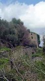 ruine,corse tourisme