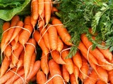 plantes medicinales corses,La carotte. A carotta