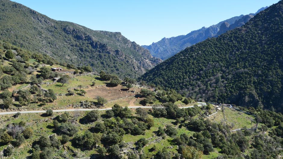 Paysage montagneux d’Asco en Corse